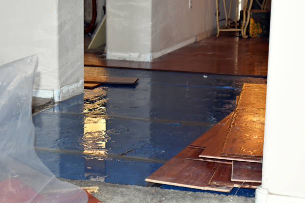 Professional Flood Damage Repair technician working in Fishers Island, NY